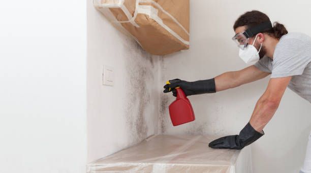 Professional Commercial Mold Remediation technician working in Roslyn Heights, NY