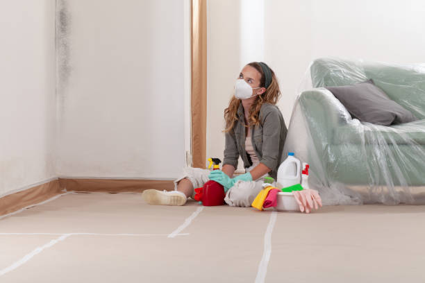 Reliable Commercial Mold Remediation contractor in Roslyn Heights, NY by WQB Mold Removal